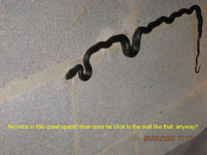 Home inspection photo Birmingham Alabama